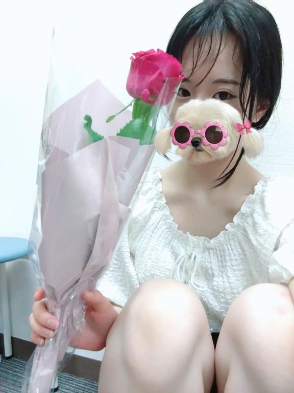 女の子画像