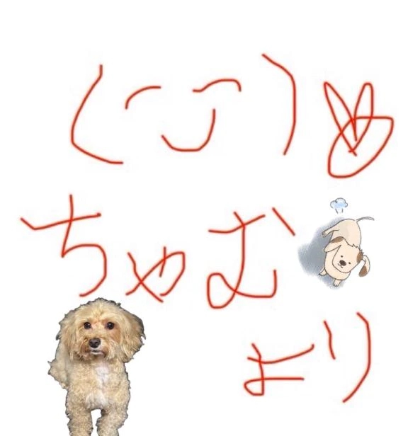 女の子画像