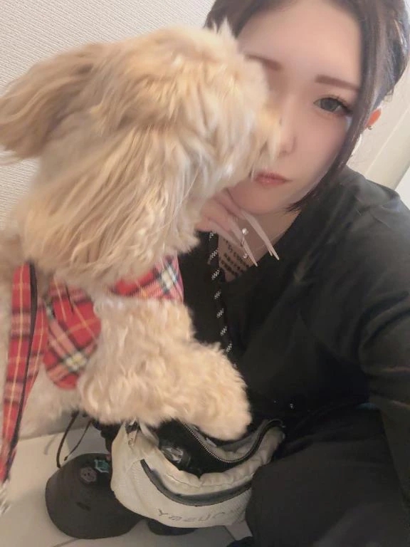 女の子画像