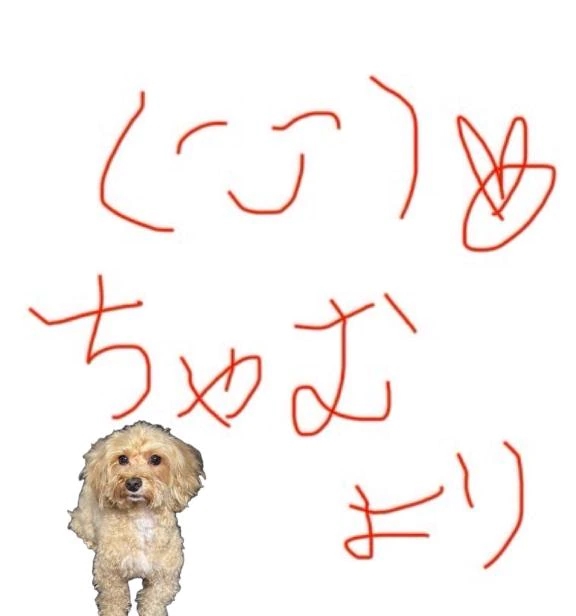 女の子画像
