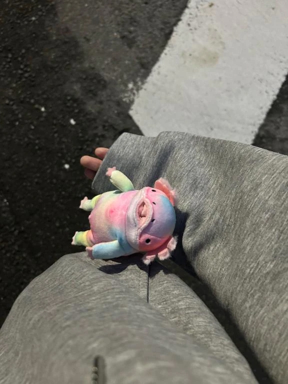 女の子画像