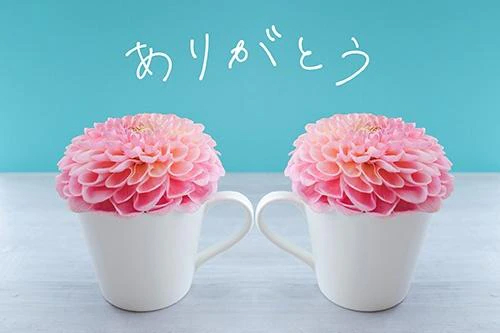 女の子画像