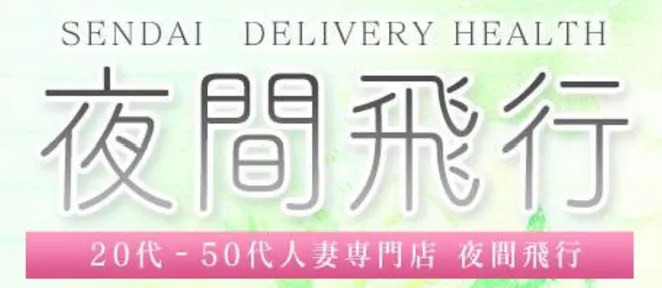 青葉区,国分町の夜間飛行のイメージ - カクブツ