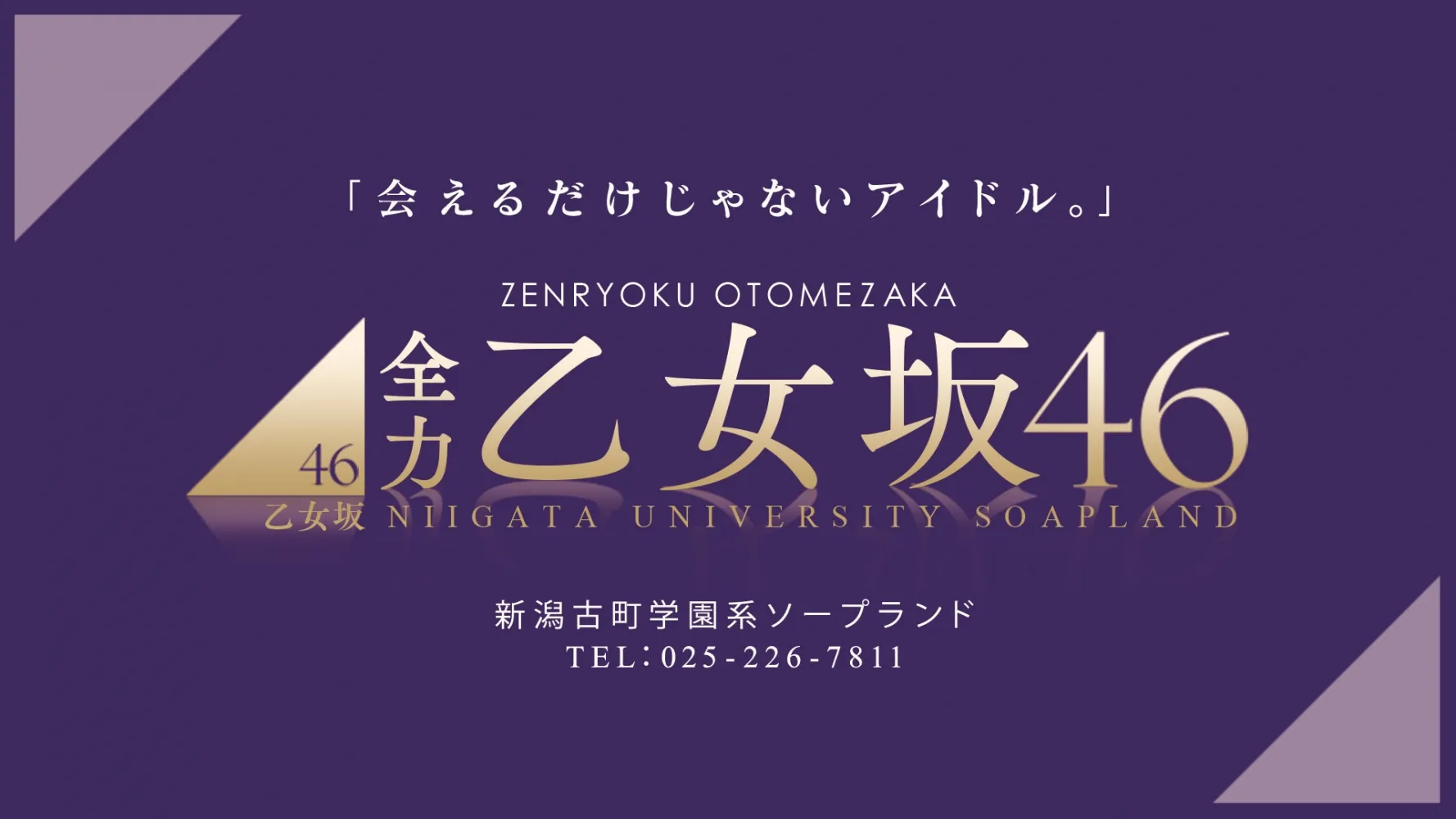 新潟市の全力！！乙女坂46のイメージ - カクブツ