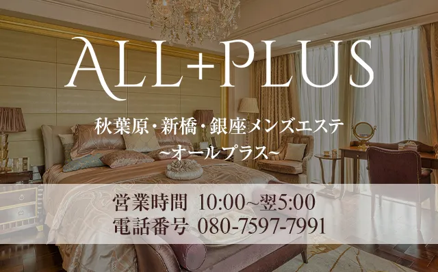 神田・秋葉原の秋葉原メンズエステ　ALL＋PLUS～オールプラス～のイメージ - カクブツ