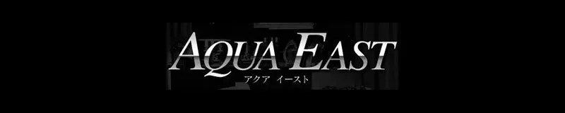 岐阜その他のAQUA EASTのイメージ - カクブツ