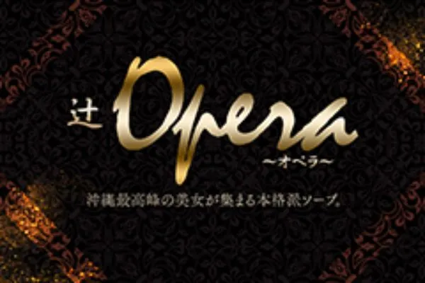 首里城跡周辺の辻Operaのイメージ - カクブツ
